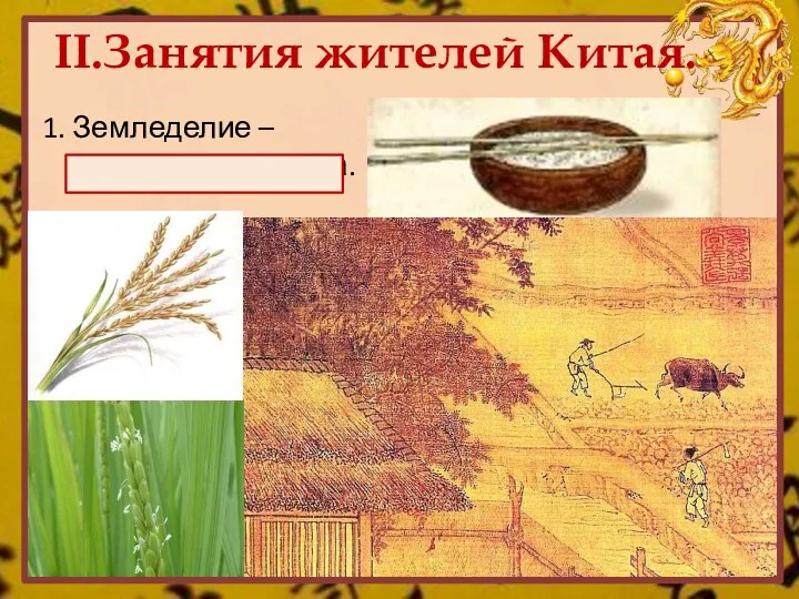 II.Занятия жителей Китая. 1. Земледелие – выращивание риса.