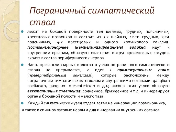 Пограничный симпатический ствол лежит на боковой поверхности тел шейных, грудных, поясничных, крестцовых