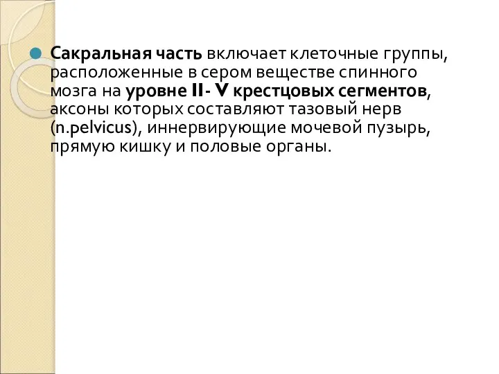 Сакральная часть включает клеточные группы, расположенные в сером веществе спинного мозга на