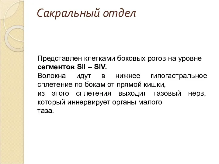 Сакральный отдел Представлен клетками боковых рогов на уровне сегментов SII – SIV.