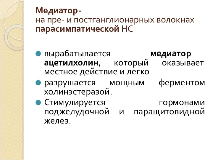 Медиатор- на пре- и постганглионарных волокнах парасимпатической НС вырабатывается медиатор ацетилхолин, который