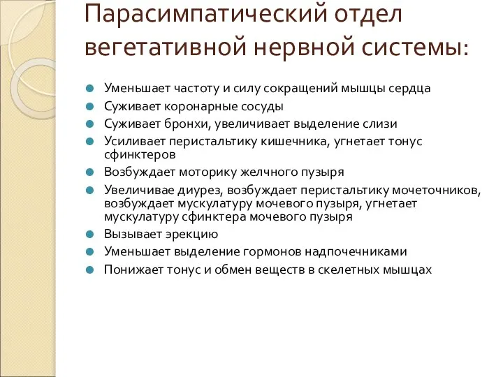 Парасимпатический отдел вегетативной нервной системы: Уменьшает частоту и силу сокращений мышцы сердца