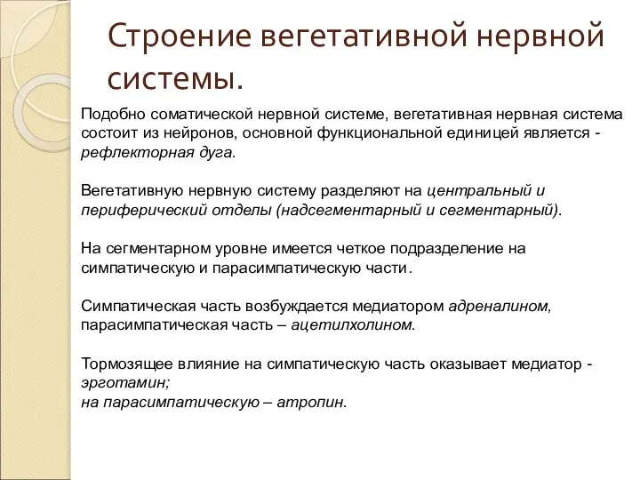 Строение вегетативной нервной системы. Подобно соматической нервной системе, вегетативная нервная система состоит