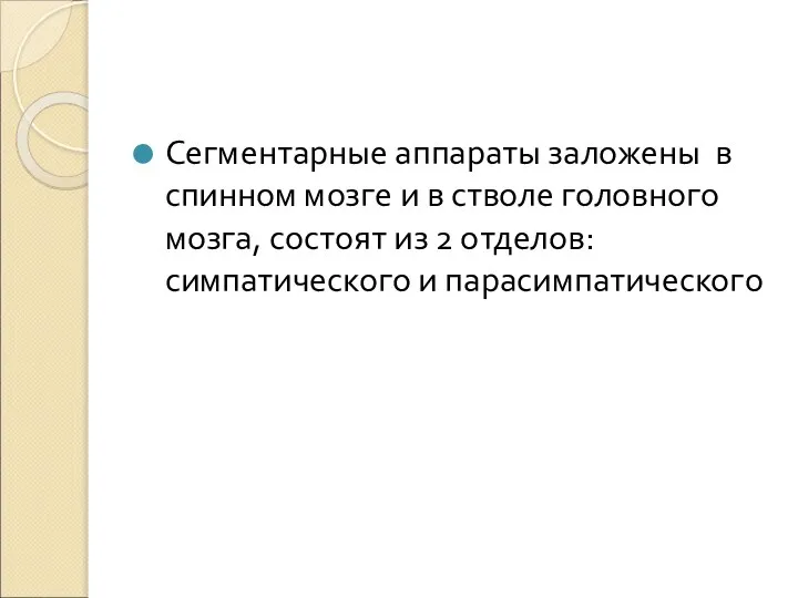 Сегментарные аппараты заложены в спинном мозге и в стволе головного мозга, состоят