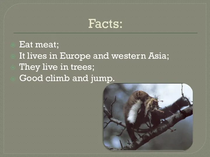 Facts: Eat meat; It lives in Europe and western Asia; They live