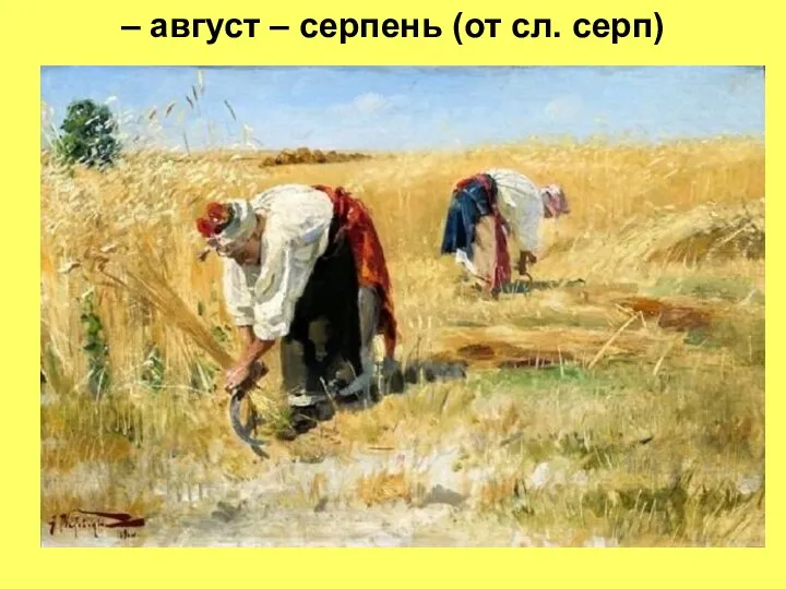 – август – серпень (от сл. серп)