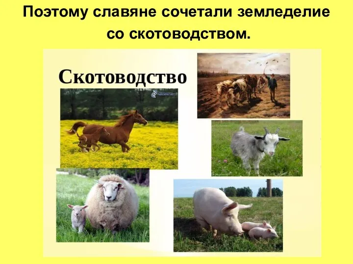 Поэтому славяне сочетали земледелие со скотоводством.