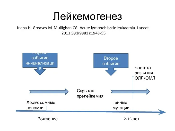 Лейкемогенез Первое событие инициализация Второе событие Хромосомные поломки Генные мутации Рождение 2-15