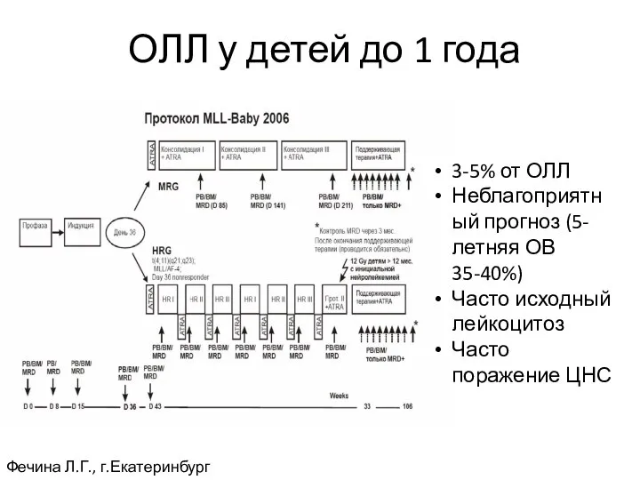 Фечина Л.Г., г.Екатеринбург ОЛЛ у детей до 1 года 3-5% от ОЛЛ