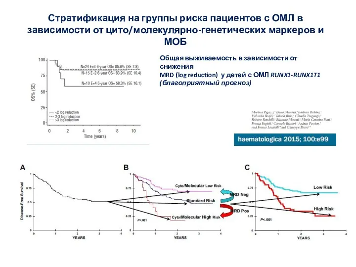 Стратификация на группы риска пациентов с ОМЛ в зависимости от цито/молекулярно-генетических маркеров