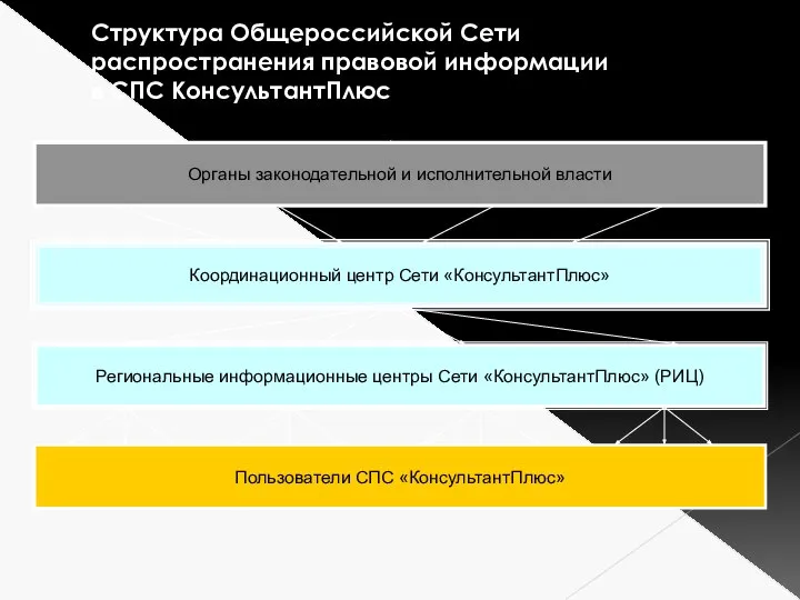 Структура Общероссийской Сети распространения правовой информации в СПС КонсультантПлюс Органы законодательной и