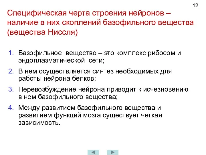 Специфическая черта строения нейронов – наличие в них скоплений базофильного вещества (вещества