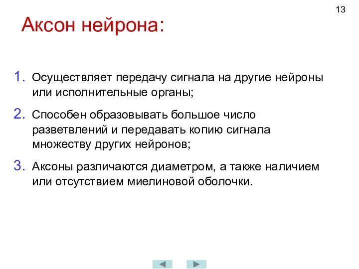 Аксон нейрона: Осуществляет передачу сигнала на другие нейроны или исполнительные органы; Способен