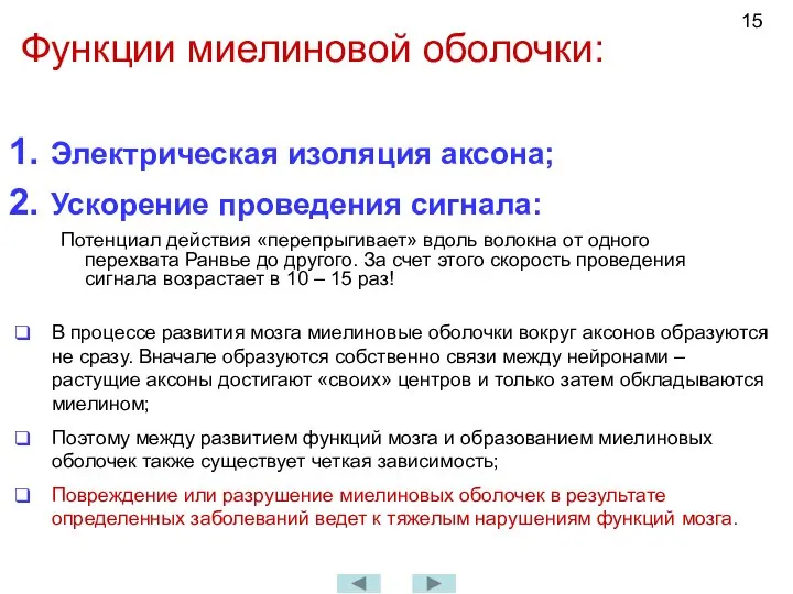 Функции миелиновой оболочки: Электрическая изоляция аксона; Ускорение проведения сигнала: Потенциал действия «перепрыгивает»