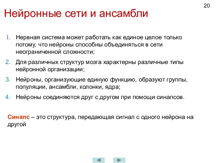 Нейронные сети и ансамбли Синапс – это структура, передающая сигнал с одного