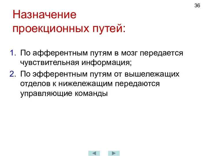 Назначение проекционных путей: По афферентным путям в мозг передается чувствительная информация; По