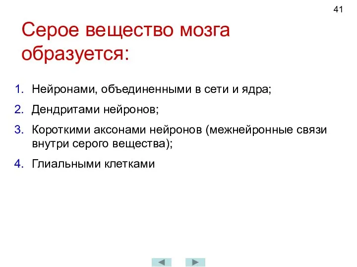 Серое вещество мозга образуется: Нейронами, объединенными в сети и ядра; Дендритами нейронов;