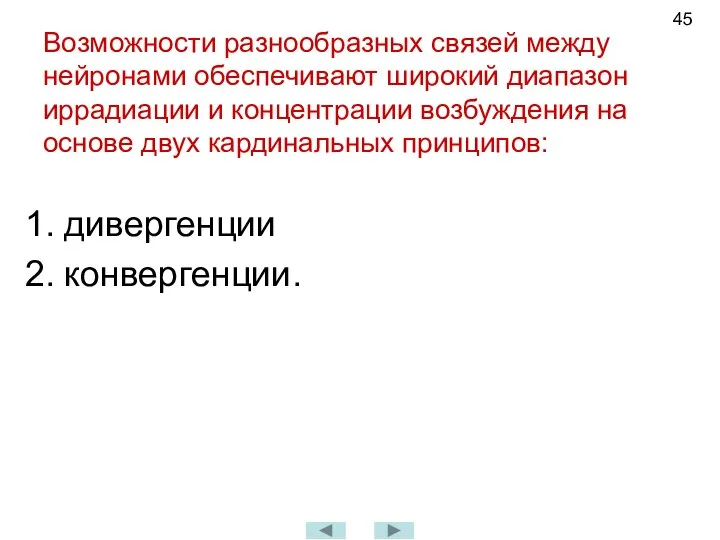 Возможности разнообразных связей между нейронами обеспечивают широкий диапазон иррадиации и концентрации возбуждения