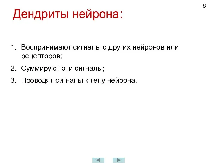 Дендриты нейрона: Воспринимают сигналы с других нейронов или рецепторов; Суммируют эти сигналы;