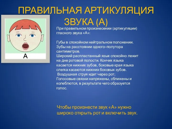 ПРАВИЛЬНАЯ АРТИКУЛЯЦИЯ ЗВУКА (А) Чтобы произнести звук «А» нужно широко открыть рот