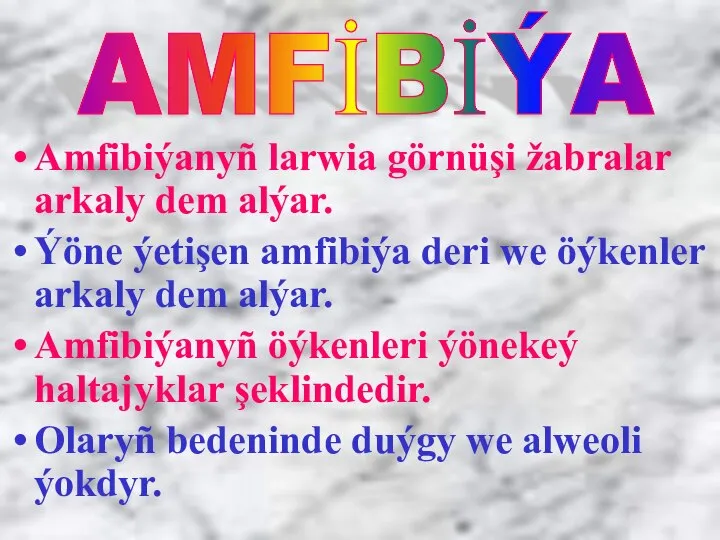 Amfibiýanyñ larwia görnüşi žabralar arkaly dem alýar. Ýöne ýetişen amfibiýa deri we