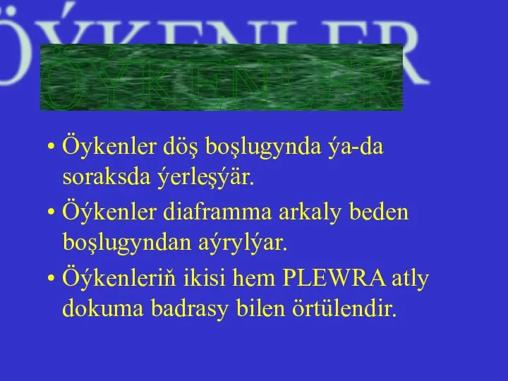 Öykenler döş boşlugynda ýa-da soraksda ýerleşýär. Öýkenler diaframma arkaly beden boşlugyndan aýrylýar.