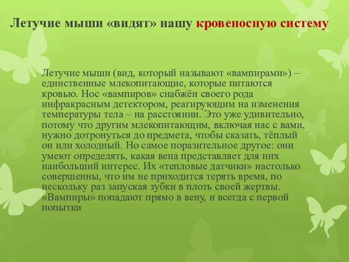 Летучие мыши «видят» нашу кровеносную систему Летучие мыши (вид, который называют «вампирами»)