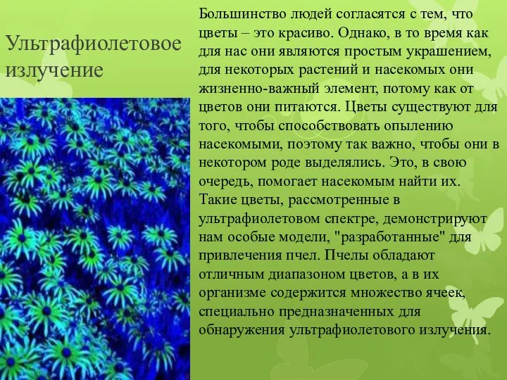 Ультрафиолетовое излучение Большинство людей согласятся с тем, что цветы – это красиво.