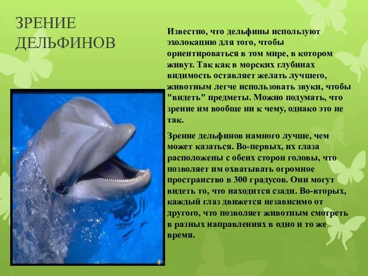 ЗРЕНИЕ ДЕЛЬФИНОВ Известно, что дельфины используют эхолокацию для того, чтобы ориентироваться в