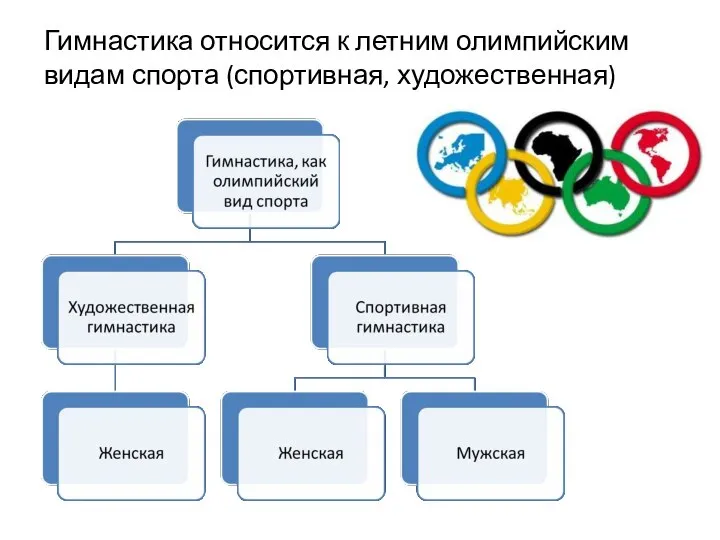 Гимнастика относится к летним олимпийским видам спорта (спортивная, художественная)