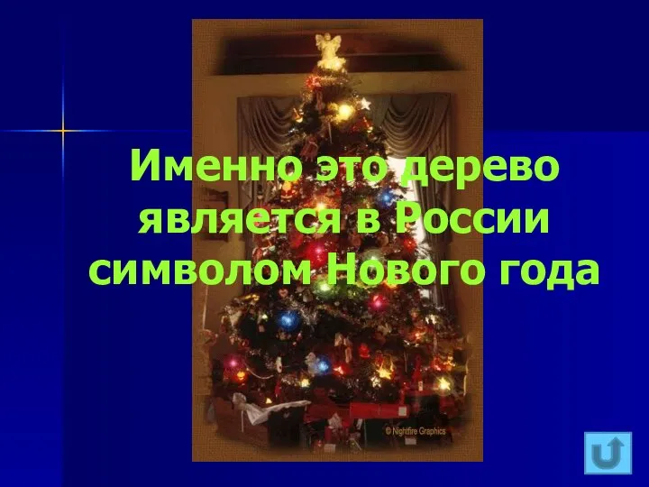 Именно это дерево является в России символом Нового года