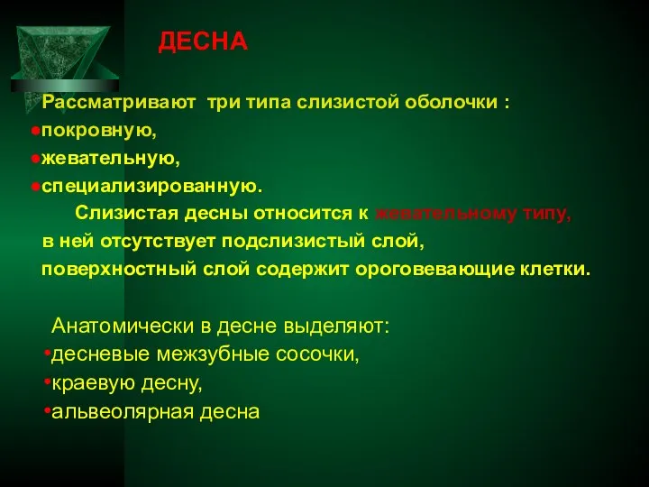 ДЕСНА Рассматривают три типа слизистой оболочки : покровную, жевательную, специализированную. Слизистая десны