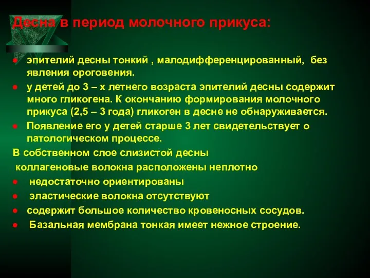 Десна в период молочного прикуса: эпителий десны тонкий , малодифференцированный, без явления