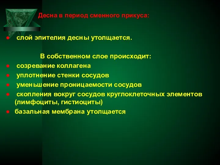 Десна в период сменного прикуса: слой эпителия десны утолщается. В собственном слое