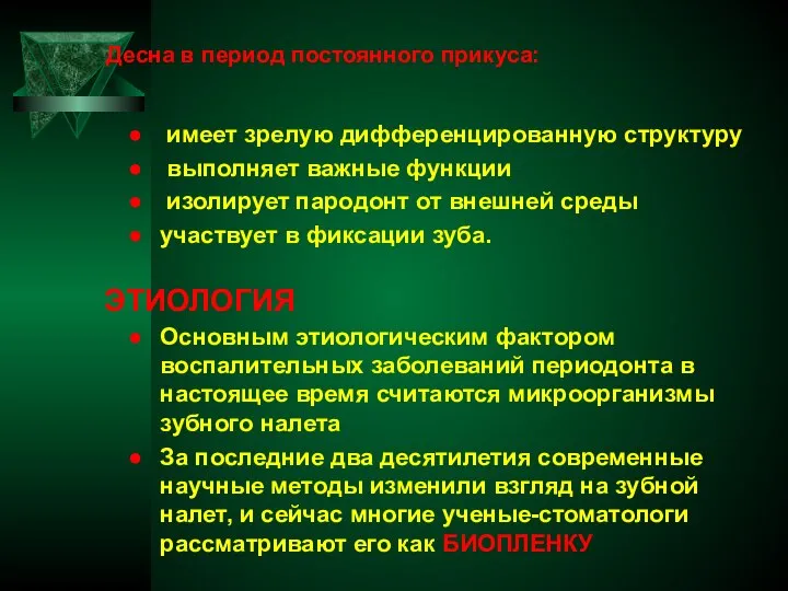 Десна в период постоянного прикуса: имеет зрелую дифференцированную структуру выполняет важные функции