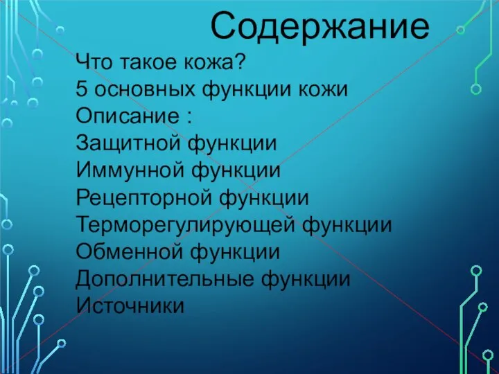 Содержание Что такое кожа? 5 основных функции кожи Описание : Защитной функции