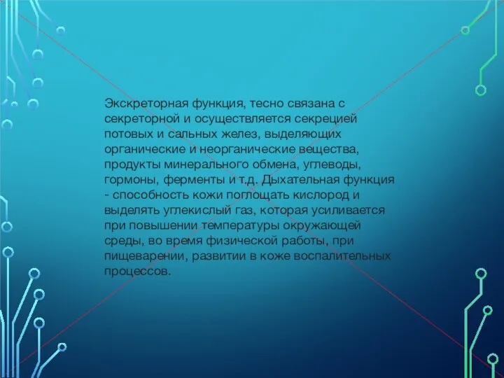 Экскреторная функция, тесно связана с секреторной и осуществляется секрецией потовых и сальных