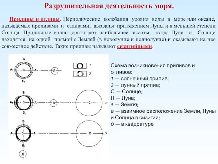 Разрушительная деятельность моря. Приливы и отливы. Периодические колебания уровня воды в море