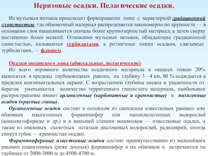 Неритовые осадки. Пелагические осадки. Из мутьевых потоков происходит формирование толщ с характерной