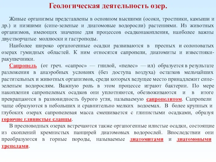 Геологическая деятельность озер. Живые организмы представлены в основном высшими (осоки, тростники, камыши