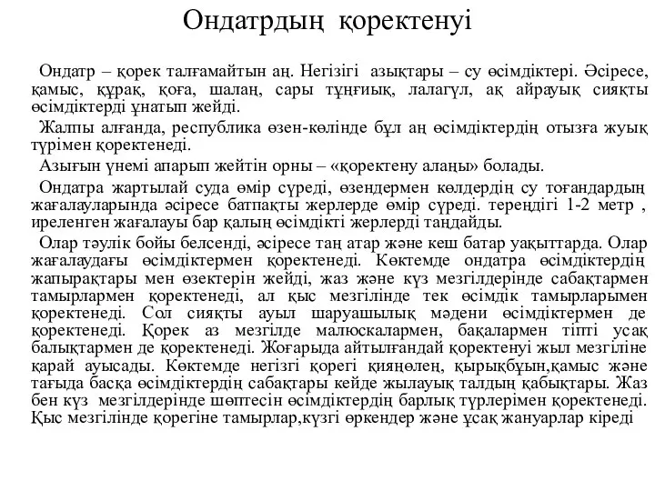 Ондатрдың қоректенуі Ондатр – қорек талғамайтын аң. Негізігі азықтары – су өсімдіктері.