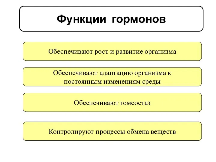 Функции гормонов Обеспечивают рост и развитие организма Обеспечивают адаптацию организма к постоянным