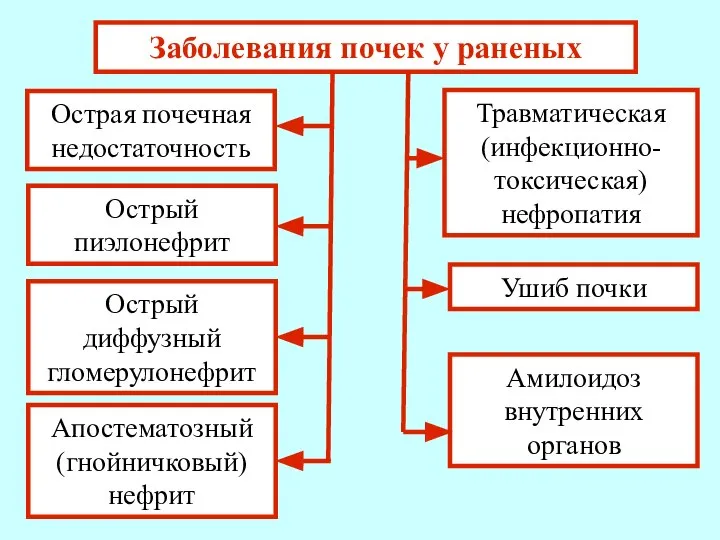 Заболевания почек у раненых Острая почечная недостаточность Острый пиэлонефрит Травматическая (инфекционно-токсическая) нефропатия