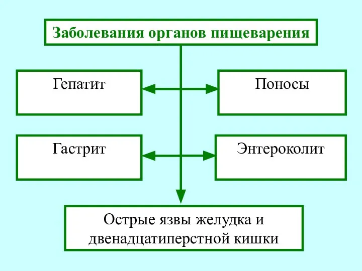 Заболевания органов пищеварения Гепатит Гастрит Поносы Энтероколит Острые язвы желудка и двенадцатиперстной кишки