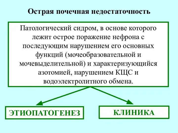 Патологический сидром, в основе которого лежит острое поражение нефрона с последующим нарушением