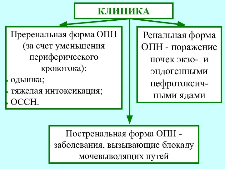 КЛИНИКА Преренальная форма ОПН (за счет уменьшения периферического кровотока): одышка; тяжелая интоксикация;