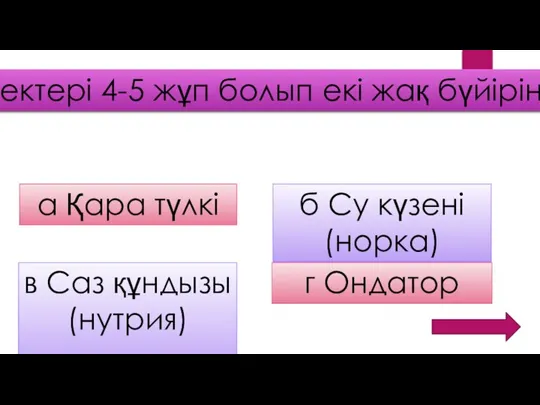 Емшектері 4-5 жұп болып екі жақ бүйірінде а Қара түлкі б Су