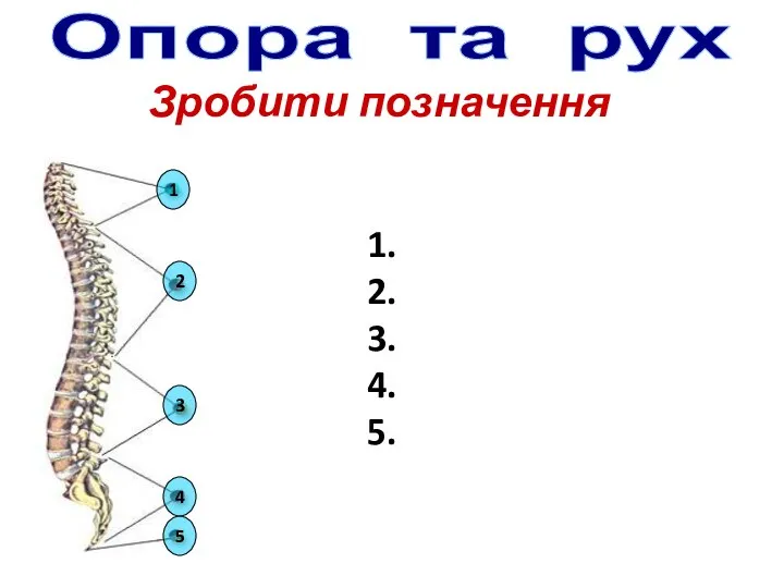 Зробити позначення Опора та рух 1. 2. 3. 4. 5. 1 2 3 4 5