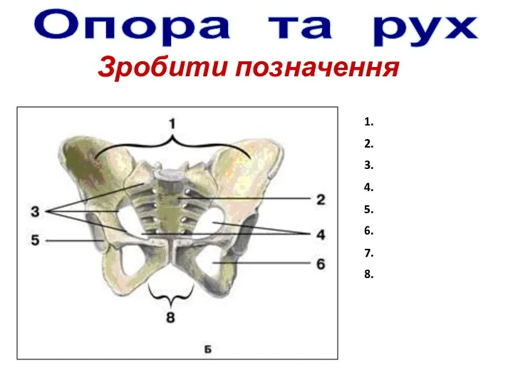 Зробити позначення Опора та рух 1. 2. 3. 4. 5. 6. 7. 8.