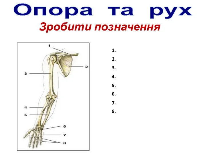 Опора та рух Зробити позначення 1. 2. 3. 4. 5. 6. 7. 8.